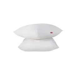 ABEIL Lot De 2 Oreillers Aerelle Cool Night - 60 X 60 Cm - Blanc -DODO Soldes Magasin abeil lot de 2 oreillers aerelle cool night 60 x 60 cm blanc 3087880024842 513576