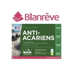 BLANREVE Couette Chaude 400gm2 Anti-Acariens 220x240 Cm Blanc -DODO Soldes Magasin blanreve couette chaude 400gm2 anti acariens 220x240 cm blanc 3245841175983 735711