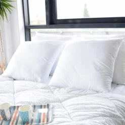 BLEU CALIN Lot De 2 Oreillers Respirant TOPCOOL 60x60cm Blanc -DODO Soldes Magasin bleu calin lot de 2 oreillers respirant topcool 60x60cm blanc 3153633412324 513540