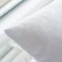 BLEU CALIN Lot De 2 Oreillers Santé Anti-acariens 60x60 Cm Blanc -DODO Soldes Magasin bleu calin lot de 2 oreillers sante anti acariens 60x60 cm blanc 3153633412300 513511