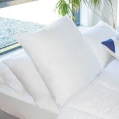 BLEU CALIN Lot De 2 Oreillers VOLUME Mixte - 100% Coton - 45x70cm + 60x60cm -DODO Soldes Magasin bleu calin lot de 2 oreillers volume mixte 100 coton 45x70cm 60x60cm 3153633439765 513654