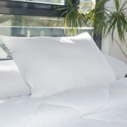 DODO Soldes Magasin -DODO Soldes Magasin bleu calin oreiller sur mesure 50x70cm 3153633291479 513484