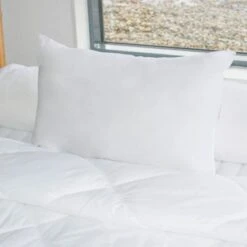 BLEU CALIN Oreiller VOLUMINEUX 100% Coton - 45 X 70 Cm -DODO Soldes Magasin bleu calin oreiller volumineux 100 coton 45 x 70 cm 3153633425669 513532