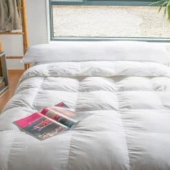 BLEU CALIN Traversin Plat A Mémoire De Forme Mémofill 40x160 Cm Blanc -DODO Soldes Magasin bleu calin traversin plat a memoire de forme memofill 40x160 cm blanc 3153633414540 513500