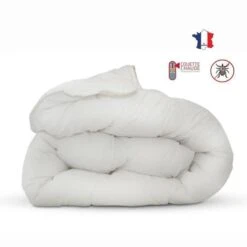 Couette Anti-acariens - 240 X 260 Cm - Chaude - 400 G/m² 2 Personnes - Blanc - ABEIL -DODO Soldes Magasin couette anti acariens 240 x 260 cm chaude 400 g m 2 personnes blanc abeil 3087880028529 1243413