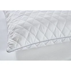 DORMIPUR Oreiller A Mémoire De Forme MEMOVITA 60x60 Cm -DODO Soldes Magasin dormipur oreiller a memoire de forme memovita 60x60 cm 5900246460789 513590