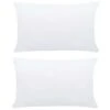 Garnitures De Coussin 2 Pcs 60x40 Cm Blanc -DODO Soldes Magasin garnitures de coussin 2 pcs 60x40 cm blanc 3666722519519 587675