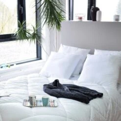 HOME COLLECTION Lot De 4 Oreillers 60x60cm  Blanc -DODO Soldes Magasin home collection lot de 4 oreillers 60x60cm blanc 3153633471222 735662