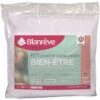 Kit Couette + Oreillers - Microfibre - BLANREVE -DODO Soldes Magasin kit couette oreillers microfibre blanreve 3245841683051 1298084