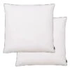 Oreiller 2 Pcs Remplissage De Duvet 80 X 80 Cm Blanc -DODO Soldes Magasin oreiller 2 pcs remplissage de duvet 80 x 80 cm blanc 3666722520294 586566