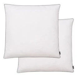 Oreiller 2 Pcs Remplissage De Duvet 80 X 80 Cm Blanc