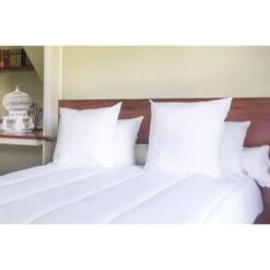 Oreiller Coton Anti-Tâches 60x60cm -DODO Soldes Magasin oreiller coton anti taches 60x60cm 3245841493599 437710