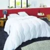 SWEETNIGHT PREMIUM Couette Tempérée - Coton - Anti-punaises De Lit - 220 X 240 Cm -DODO Soldes Magasin sweetnight premium couette temperee coton anti punaises de lit 220 x 240 cm 3377720104576 513331